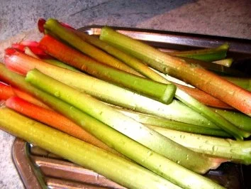 Rhabarberkuchen mit Schmandguß - Rezept - Bild Nr. 2