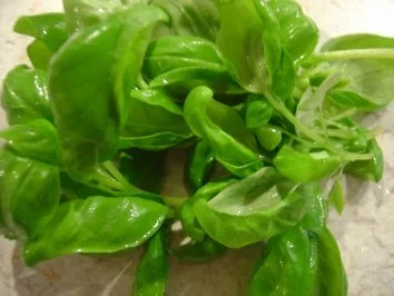 Bärlauch-Basilikum-Pesto, sehr würzig - Rezept - Bild Nr. 4