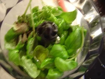 Bärlauch-Basilikum-Pesto, sehr würzig - Rezept - Bild Nr. 5