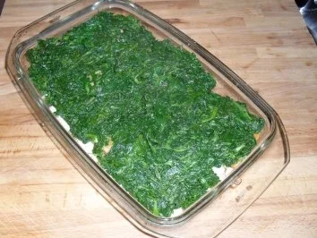 Forelle vierkant - Auflauf - Rezept - Bild Nr. 5