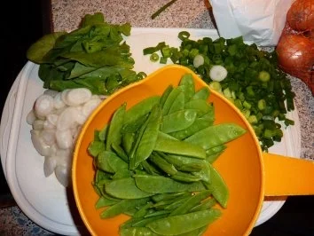 Fisch: Fisch grün-weiß mit kleinen roten Tupfen - Rezept - Bild Nr. 2