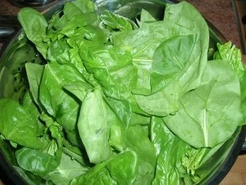 Rezept: Thunfisch mariniert mit Kartoffelfächer an Blattspinat mit geschmorten Tomaten+Schafskäse Bild Nr. 7 Thunfisch mariniert mit Kartoffelfächer an Blattspinat mit geschmorten Tomaten+Schafskäse - Rezept - Bild Nr. 7