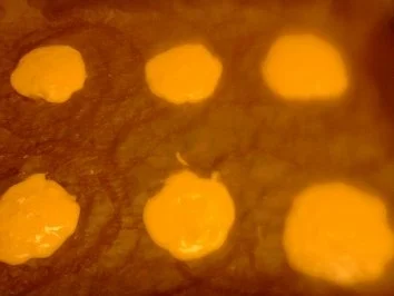 Rezept: Es sollten eigentlich Windbeutel werden..... Bild Nr. 4 Es sollten eigentlich Windbeutel werden..... - Rezept - Bild Nr. 4