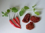 Gewürz: Kräuteröl "Arabica" - Rezept