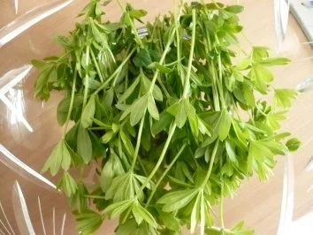 Rezept: Waldmeister - Bowle Bild Nr. 3 Waldmeister - Bowle - Rezept - Bild Nr. 3