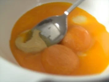 Rezept: Majonäse selbstgemacht Bild Nr. 3 Majonäse selbstgemacht - Rezept - Bild Nr. 3