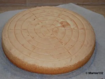 Rezept: Steuerbord-Backbord-Torte Bild Nr. 7 Steuerbord-Backbord-Torte - Rezept - Bild Nr. 7