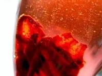 Aperitif: Wild Hibiskus trifft Sekt - Rezept - Bild Nr. 2