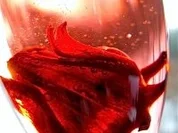 Aperitif: Wild Hibiskus trifft Sekt - Rezept