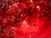 Aperitif: Wild Hibiskus trifft Sekt - Rezept - Bild Nr. 3