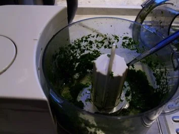 Unser Bärlauch-Pesto - Rezept - Bild Nr. 2