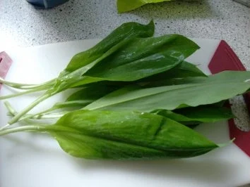 Spargel mit Kräuter-Nuss-Pesto - Rezept - Bild Nr. 4