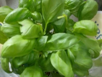 Spargel mit Kräuter-Nuss-Pesto - Rezept - Bild Nr. 5