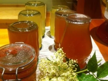 Hollunderblüten-Gelee - Rezept