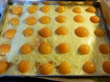 Kuchen: Spiegeleierkuchen - Rezept - Bild Nr. 7