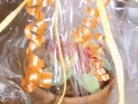 Blumentopfkuchen - Rezept - Bild Nr. 3