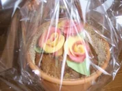 Blumentopfkuchen - Rezept