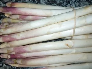 Rezept: Parmesanschnitzel mit weissem Spargel an Pistazien-Frühlingszwiebel-Hollandaise Bild Nr. 4 Parmesanschnitzel mit weissem Spargel an Pistazien-Frühlingszwiebel-Hollandaise - Rezept - Bild Nr. 4