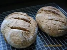 BROT:   Bärlauchbrot mit Körnern - Rezept