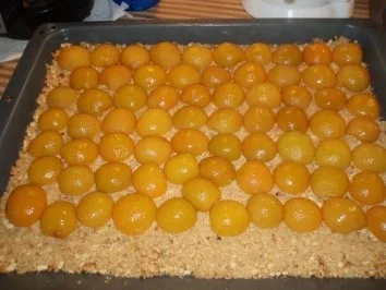 Kokos-Aprikosen- Blechkuchen - Rezept - Bild Nr. 4