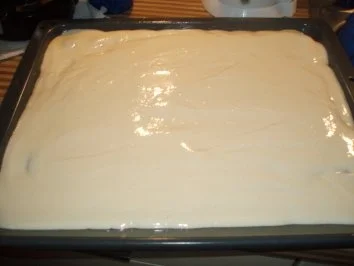 Kokos-Aprikosen- Blechkuchen - Rezept - Bild Nr. 5