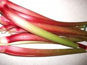 Dessert: Rhabarber - Rezept