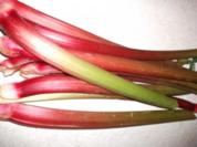 Dessert: Rhabarber - Rezept