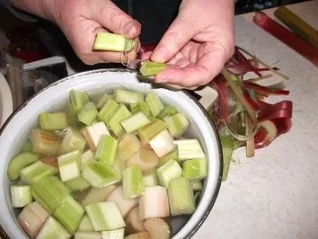 Dessert: Rhabarber - Rezept - Bild Nr. 2