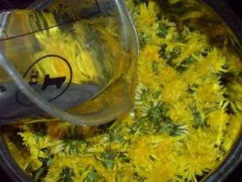 Löwenzahnblüten-Honig - Rezept - Bild Nr. 7