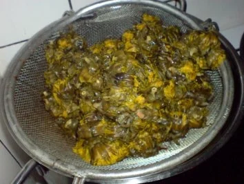 Löwenzahnblüten-Honig - Rezept - Bild Nr. 10