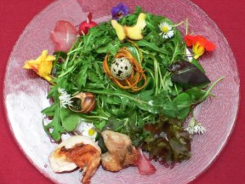 Salatvariation mit Wachtelbrust, Ei, Weinbergschnecke und Gänseblümchen ...