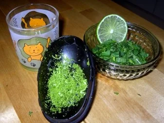 Limetten-Minz-Creme mit Erdbeerragout - Rezept - Bild Nr. 2