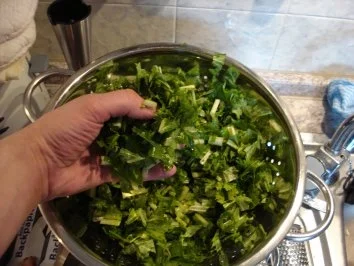 Rezept: Stielmus mit Fleischpflanzerl Bild Nr. 2 Stielmus mit Fleischpflanzerl - Rezept - Bild Nr. 2