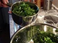 Rezept: Stielmus mit Fleischpflanzerl Bild Nr. 16 Stielmus mit Fleischpflanzerl - Rezept - Bild Nr. 16