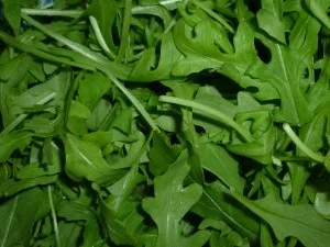 Rezept: Fruchtige Gänsekeulen mit Rahmkohlrabi im Rucolanest an Salzkartoffeln Bild Nr. 5 Fruchtige Gänsekeulen mit Rahmkohlrabi im Rucolanest an Salzkartoffeln - Rezept - Bild Nr. 5