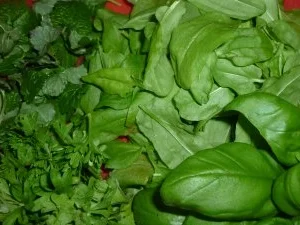 Tomaten-Kräuterpesto mit Sonnenblumenkernen und Balsamico - Rezept - Bild Nr. 7