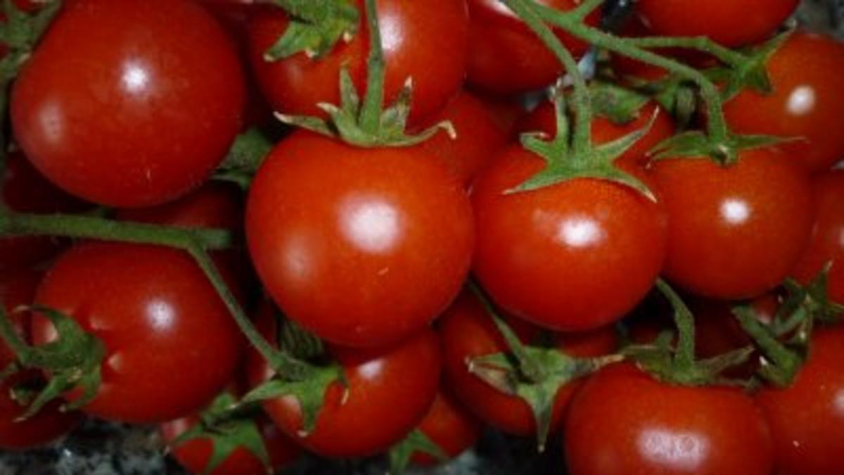 Ravioli due colori mit Lachs und Safranmuscheln an Kräuter-Tomaten-Pesto - Rezept - Bild Nr. 7