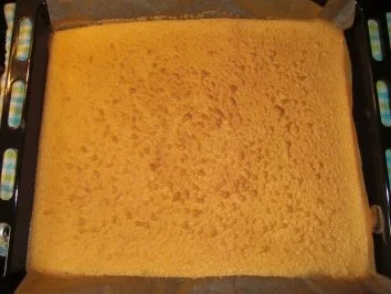 Aprikosen-Quark-Schnitten - Rezept - Bild Nr. 2