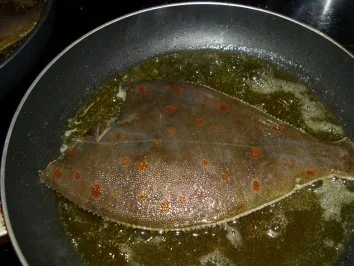 Rezept: Maischolle in Speck gebraten! Bild Nr. 2 Maischolle in Speck gebraten! - Rezept - Bild Nr. 2