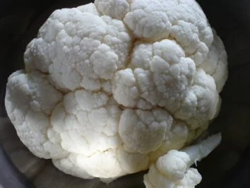 Rezept: Hackfleisch-Blumenkohl-Auflauf Bild Nr. 3 Hackfleisch-Blumenkohl-Auflauf - Rezept - Bild Nr. 3