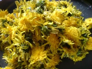 Löwenzahnblüten-Gelee - Rezept - Bild Nr. 3