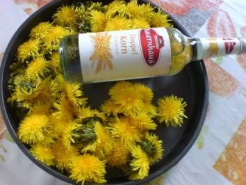 Löwenzahn-Likör - Rezept - Bild Nr. 4