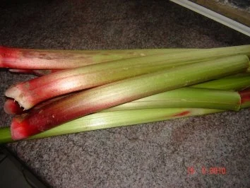 Kuchen + Torten : Rhabarberkuchen mit Puddinghaube - Rezept - Bild Nr. 2