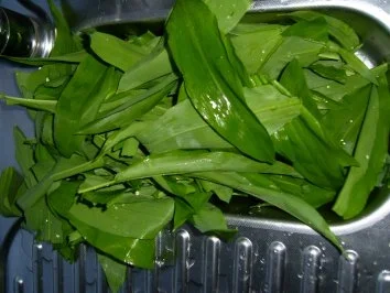 Bärlauchdressing - Rezept - Bild Nr. 2