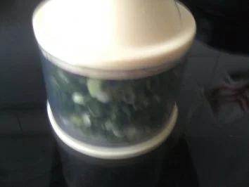 Bärlauch-Zwiebelsoße mit - Rezept - Bild Nr. 2