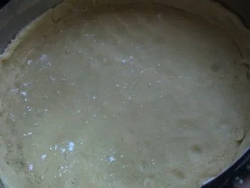 Mandarinen Käsekuchen - Rezept - Bild Nr. 5