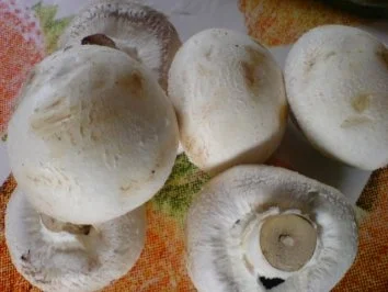 Rezept: Grillsaison 2010 hat begonnen Bild Nr. 4 Grillsaison 2010 hat begonnen - Rezept - Bild Nr. 4