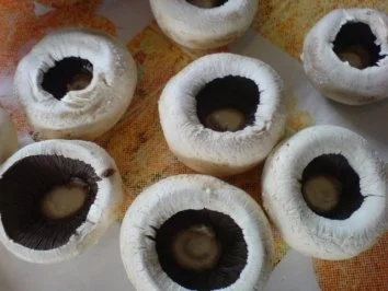 Rezept: Grillsaison 2010 hat begonnen Bild Nr. 5 Grillsaison 2010 hat begonnen - Rezept - Bild Nr. 5