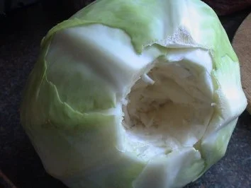 Kohlroulade - Rezept - Bild Nr. 2