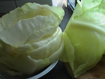 Kohlroulade - Rezept - Bild Nr. 4